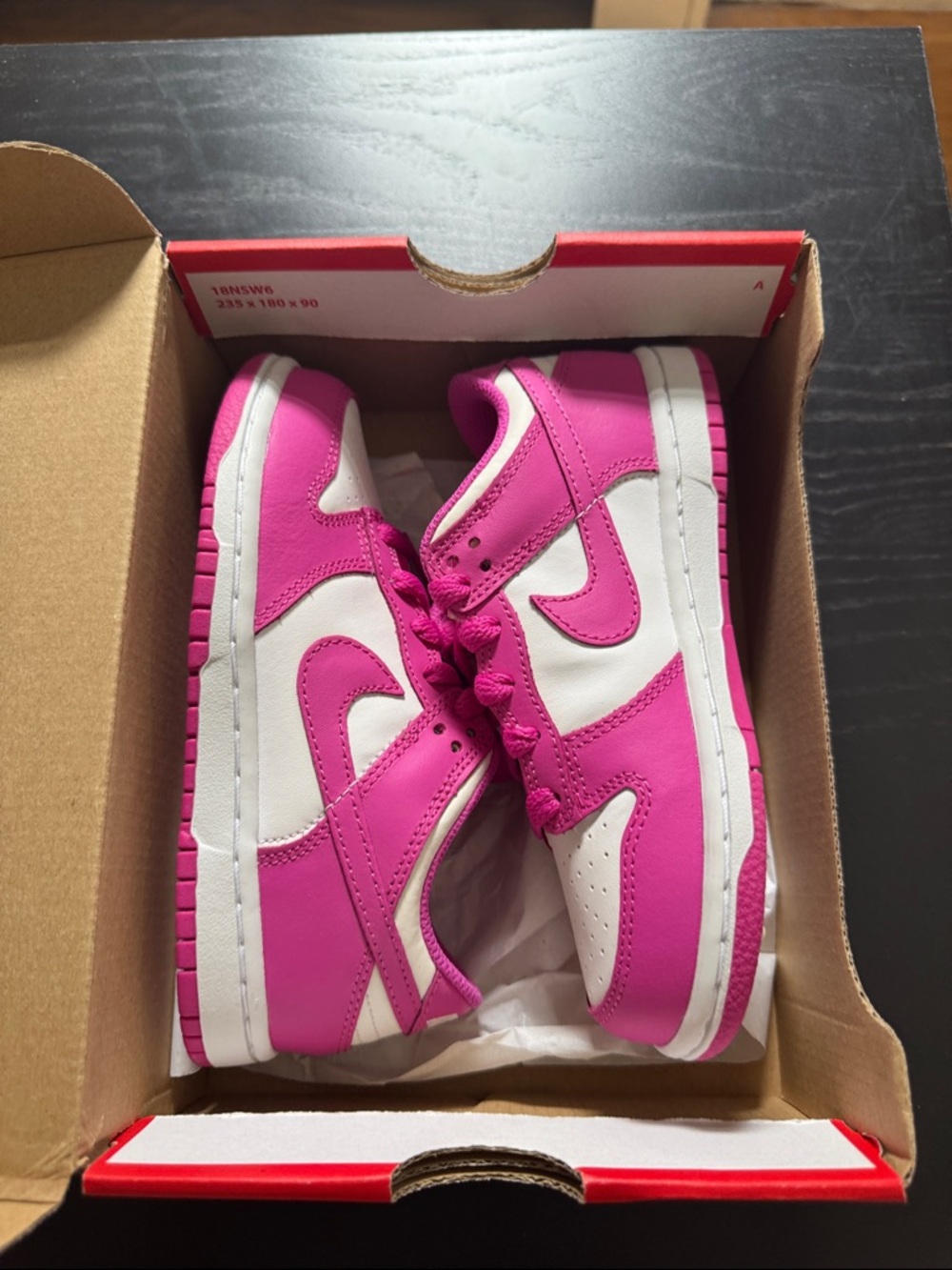 Nike dunk low kids preschool